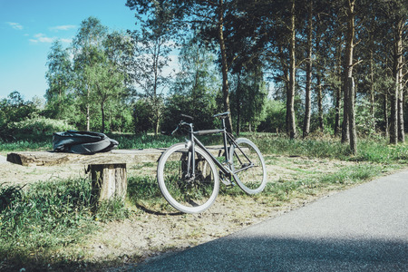 bicycle is lying on a bank in nature forest of berlin, germanyの写真素材