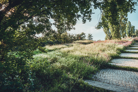 stairs at mauerpark berlin with green plants and treesの写真素材