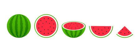 Set of fruits. Summer fruit collection. Fruits watermelon. Vegetarian and ecology food. Vector illustrationのイラスト素材