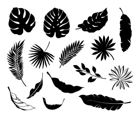 Set of Tropical leaves. Collection black leaves palm, fan palm, banana leaves. Vector illustrationのイラスト素材