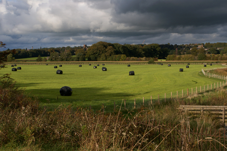 Silage bales in a sunlit field, Dumfries, Scotlandの写真素材