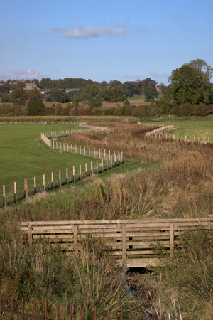 Wildlife conservation corridor between fields. Dumfries, Scotland.の写真素材