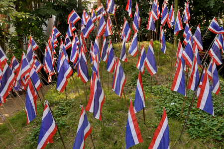 A collection of Thai flags on a grass mound, Chiang Mai, Thailand.の写真素材