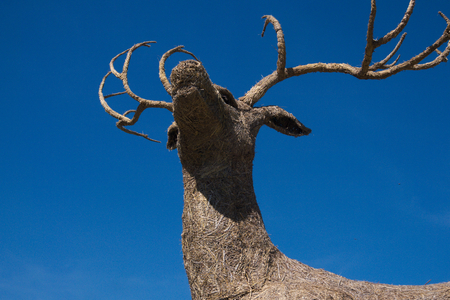 A stag deer constructed with rice straw.の写真素材