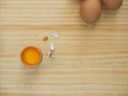 egg
