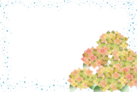 Hydrangeaの写真素材