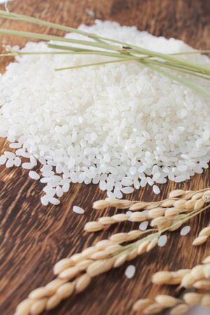Riceの写真素材