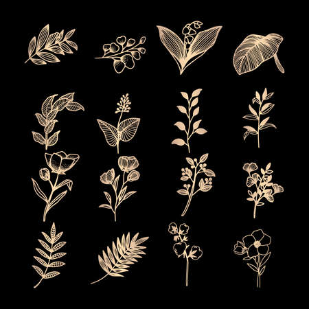 elegant feminine logo editable templateのイラスト素材