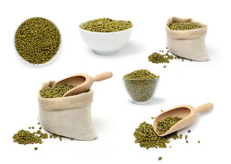 Set of pictures on cereal on white background. Green lentils.の写真素材