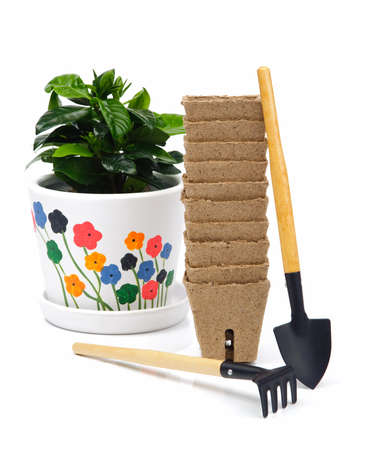An image of a plant and tools for gardeningの写真素材