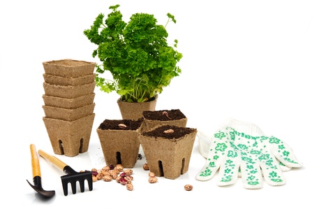 An image of flowerpots with parsel and garden toolsの写真素材