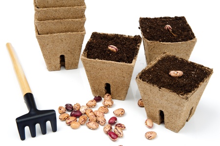 An image of flowerpots with seeds and rakeの写真素材