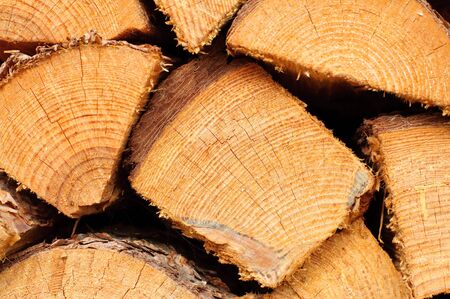 A background of a stack of timberの写真素材
