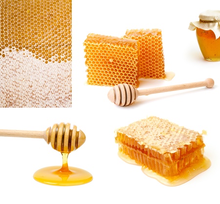 Set of different images of honey on whiteの写真素材