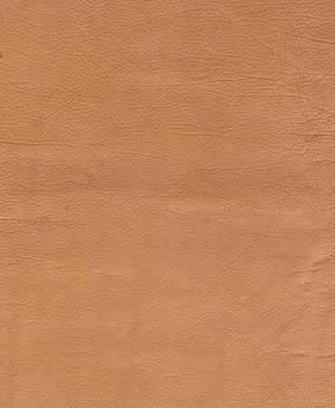 Tan leather texture background. Close-up photoの写真素材