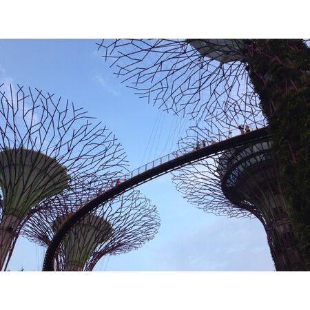 Gardens by the bayの素材