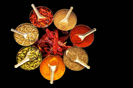 Selection of spices arranged in a circle with dried red chillies on black background