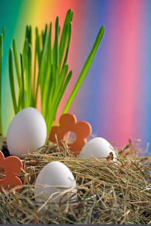 white easter eggs with colourful background