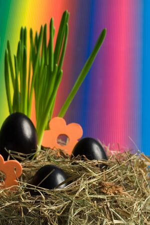black easter eggs with colourful background