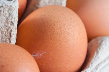 Egg carton with fresh brown eggs