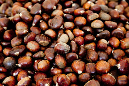 chestnutsの写真素材