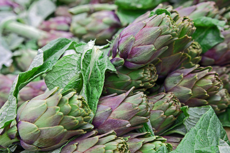 Fresh artichokes sold at a marketの写真素材
