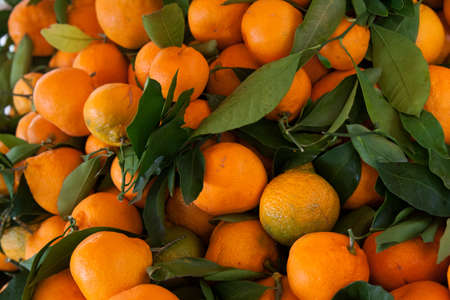 fresh tangerines with leavesの写真素材