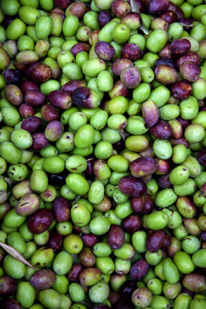 Fresh black and green olives sold at a marketの写真素材