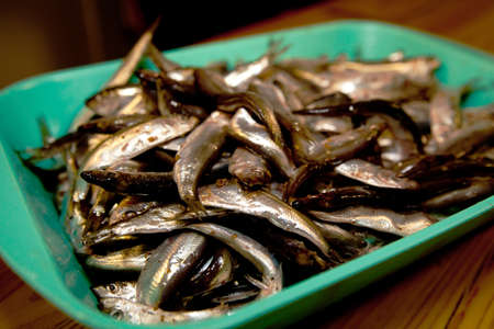 many sprats prepared ready to cookの写真素材