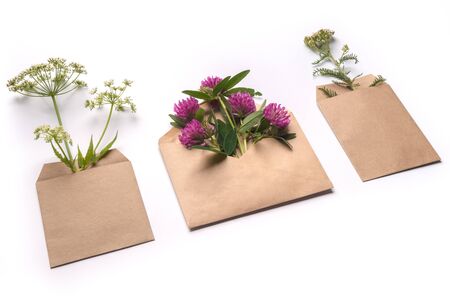 Healthy herbal eco gift concept