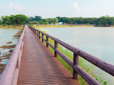 Wooden Bridge Walkway in The Swamp Landscape Head to The Park with Blue Sky on Sunshine Dayの写真素材