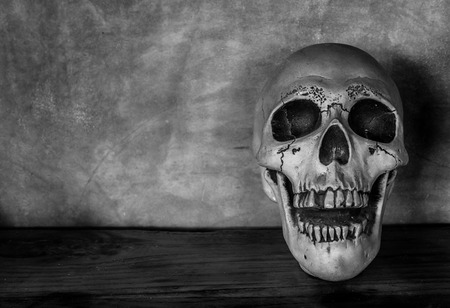 Front View of Human Skull with Texture on Wooden and Cement Background Horror Conceptの写真素材