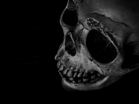 Top View of Human Skull with Texture on Dark Background Horror Conceptの写真素材