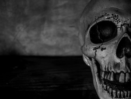 Half Face of Human Skull with Texture on Dark Cement Background Horror Conceptの写真素材