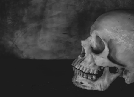Side View of Human Skull on Wooden and Cement Background Horror Conceptの写真素材