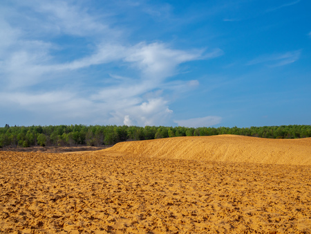 Red Sand Dunes Landscape with Trees and Bluse Sky Background on Summer Sunny Dayの写真素材