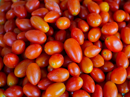 Cherry Tomato Background Fresh Organic Herb Ingredient for Sale in Marketの写真素材