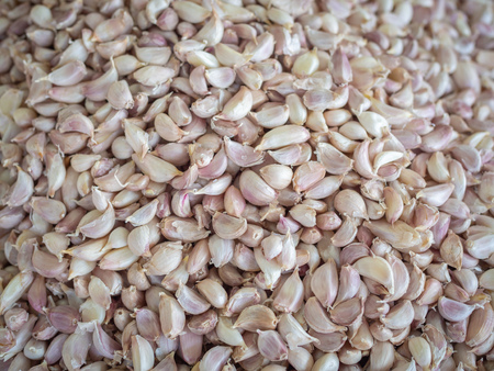 Garlic Cloves Background Fresh Organic Herb Ingredient for Sale in Marketの写真素材