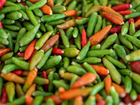 Red and Green Chilli Pepper Background Fresh Organic Herb Ingredient for Sale in Marketの写真素材