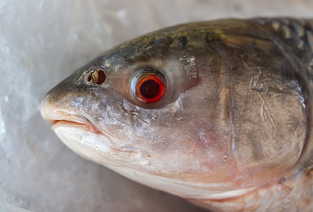 Clos-up Fresh Frozen Fish on Ice sale in Summer Marketの写真素材
