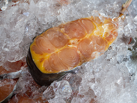 Fresh Frozen Fish Meat on Ice sale in Summer Marketの写真素材