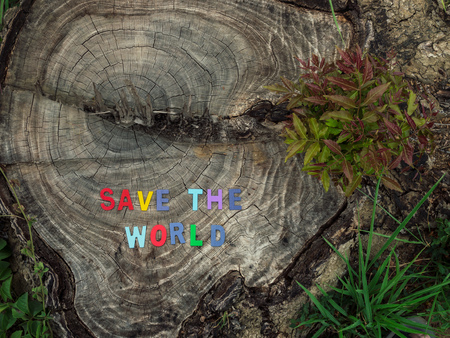 âSave The Wordâ Text on Stump with Plant. Save Earth and Environment, Ecology Conceptの写真素材