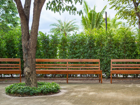 Wooden benches on cement floor and trees, garden lamp in the park on blue sky background.の写真素材
