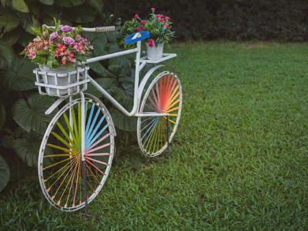 White vintage bicycle with colourful wheel and colourful flowers in the white pot in the basket on green grass with tropical palm leaves and big in the garden. Decoration in park.の写真素材