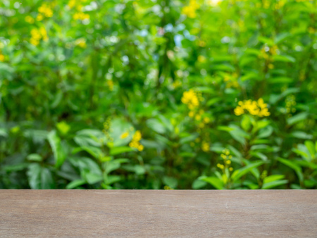 Empty wooden table top on blur green tree garden and yellow flower background.の写真素材