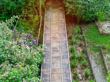 Wooden bridge walkway. Bamboo Bridge with tree and flower park and paddy top view.の写真素材