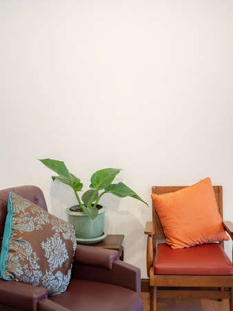 Vintage Wooden chair leather sofa wit tree in green pot on white wall background with space vertical style.の写真素材