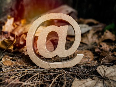 Wooden E-mail address symbol, arroba icon on dry leaves background with sunlight. E-mail marketing online internet, technology and environment concept.の写真素材