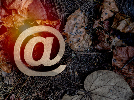 Wooden E-mail address symbol, arroba icon on dry leaves background with sunlight. E-mail marketing online internet, technology and environment concept.の写真素材
