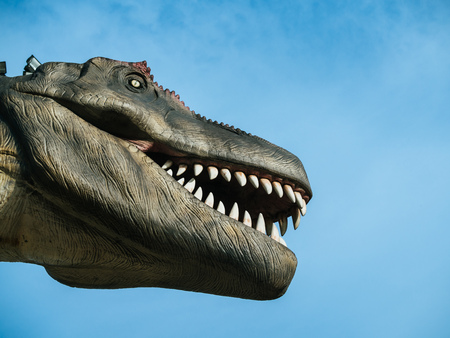 Dinosaur Tyrannosaurus Rex head on blue sky background with space.の写真素材